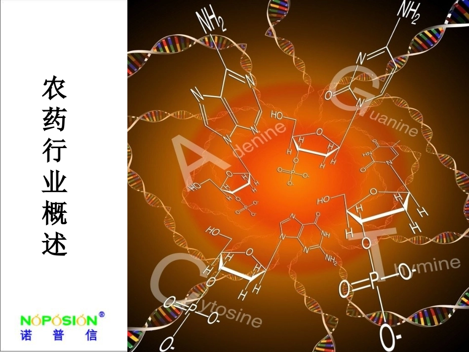 农药行业概述_第2页