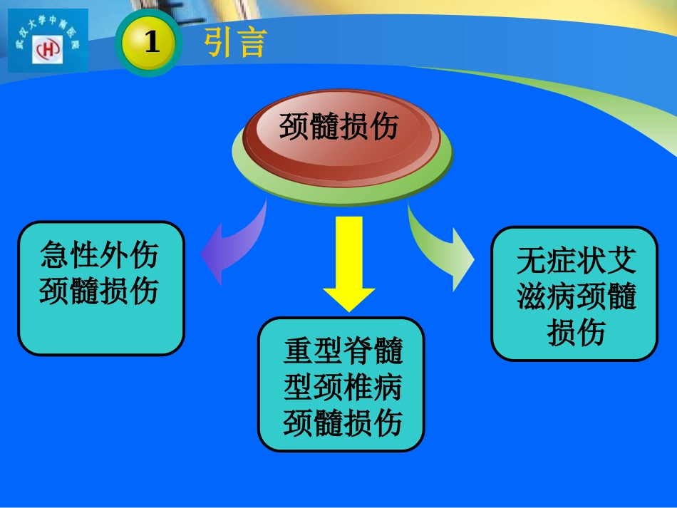 扩散张量成像在脊髓损伤中的应用剖析_第3页