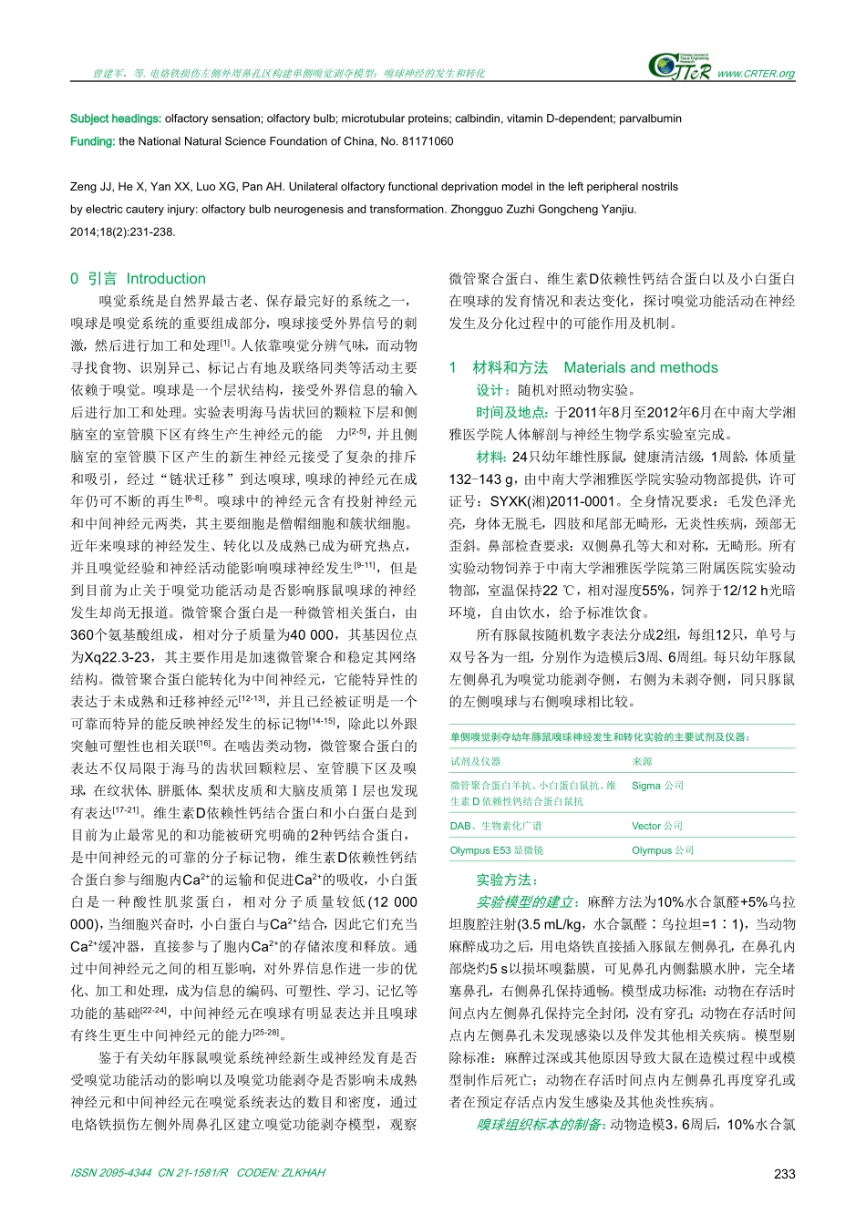 电烙铁损伤左侧外周鼻孔区构建单侧嗅觉剥夺模型：嗅球神经的发生和转化_第3页