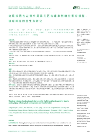 电烙铁损伤左侧外周鼻孔区构建单侧嗅觉剥夺模型：嗅球神经的发生和转化