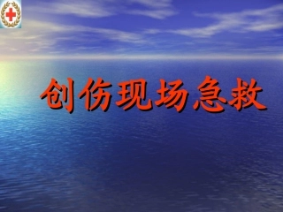 创伤现场急救