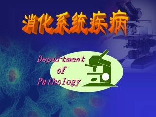 胃炎+溃疡+消化管癌
