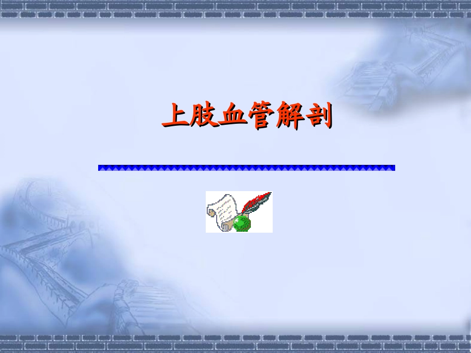 人体解剖上肢的血管_第1页