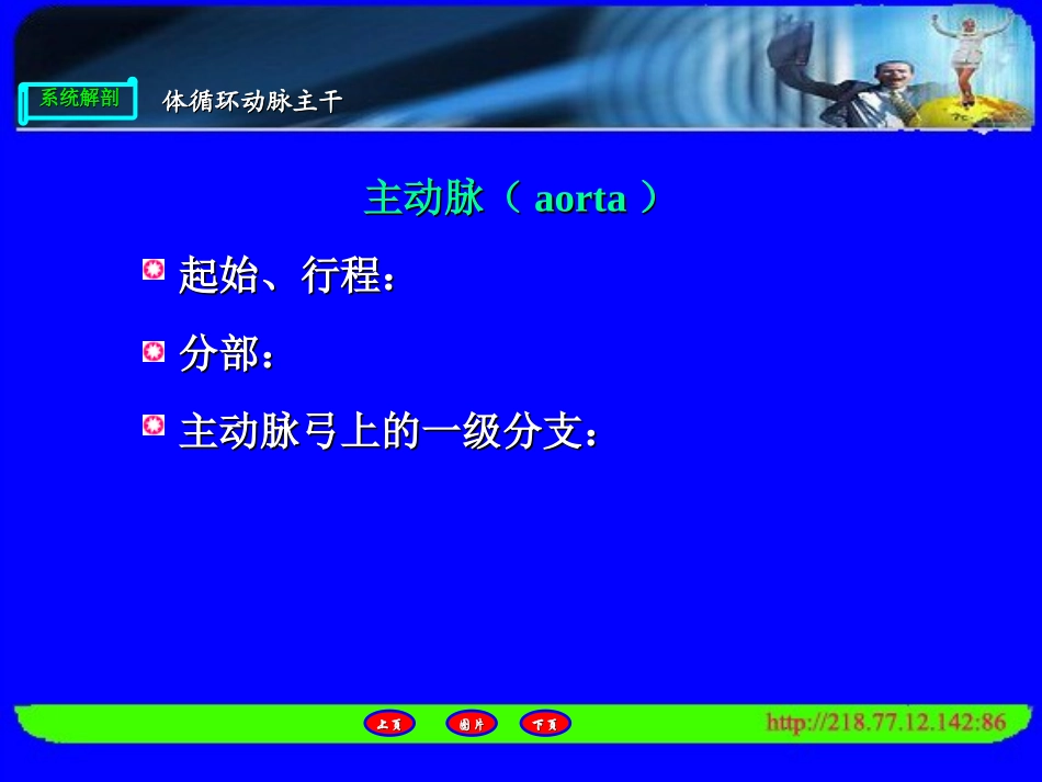 人体解剖上肢的血管_第3页