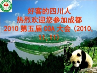 全髋翻修术的基本策略