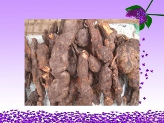 江南药王的传奇