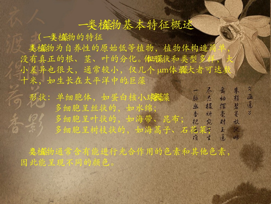 药用植物学藻类植物_第3页