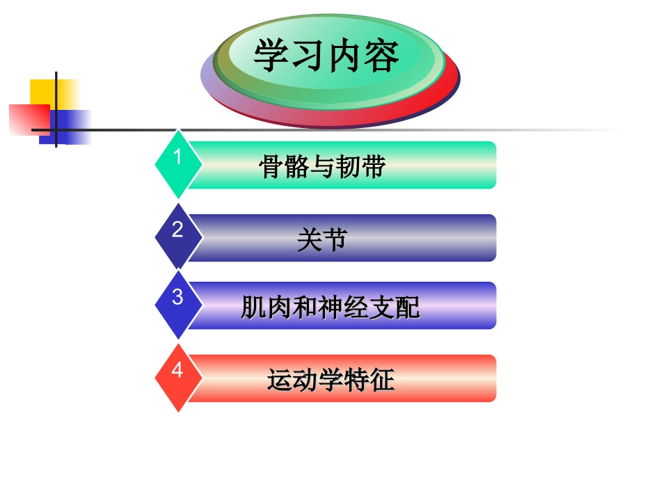 第二章 第三节  关节运动学(一、肩)肌肉和神经支配_第2页