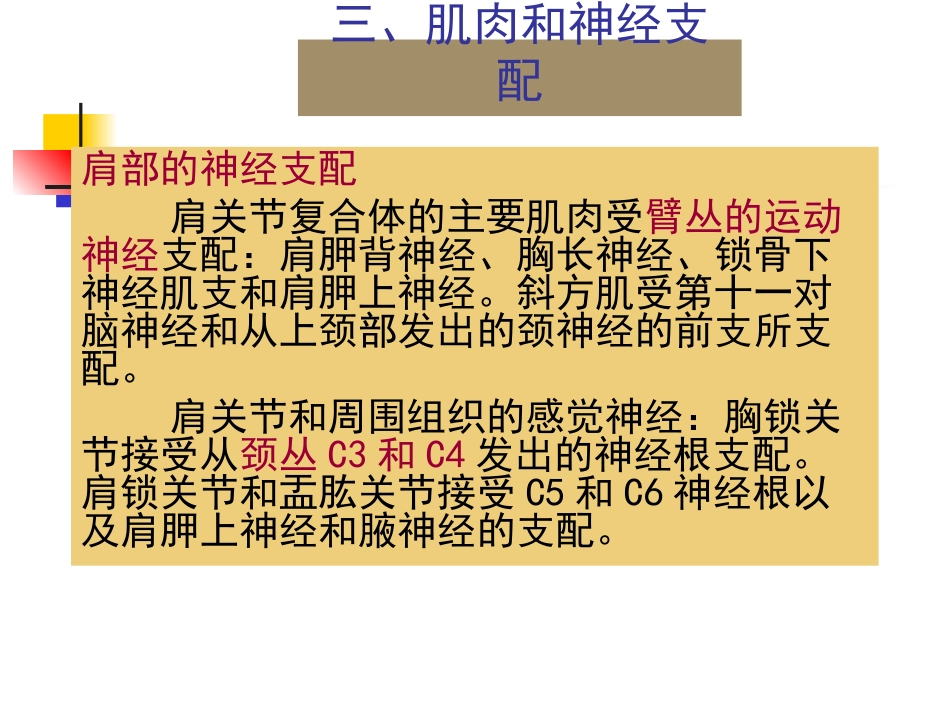 第二章 第三节  关节运动学(一、肩)肌肉和神经支配_第3页