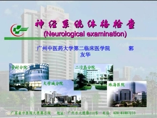 入科教育2：神经系统检查
