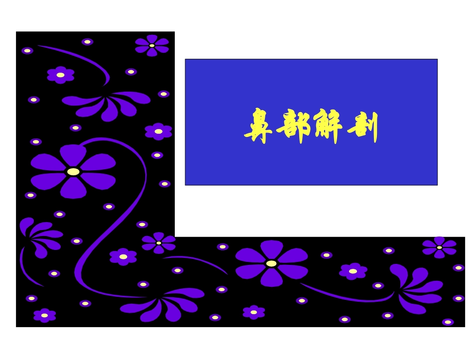 耳鼻咽喉科学解剖图解_第2页