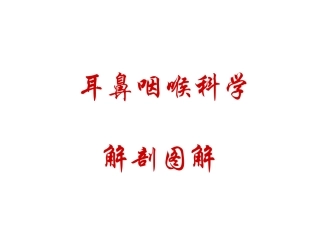 耳鼻咽喉科学解剖图解