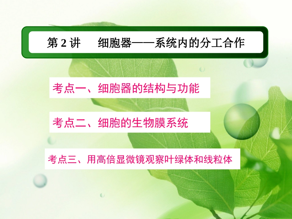 一轮复习细胞器_第1页