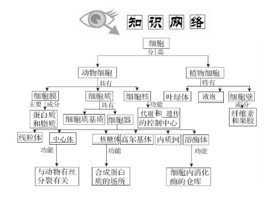 一轮复习细胞器_第2页