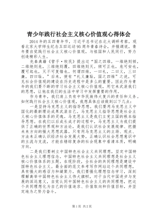青少年践行社会主义核心价值观心得体会
