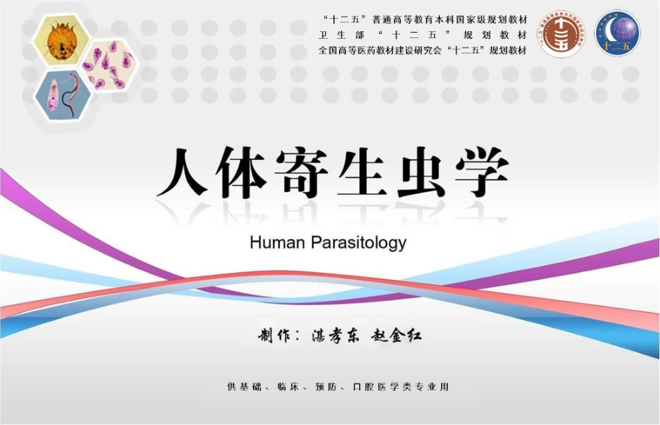 杜氏利什曼原虫_第2页