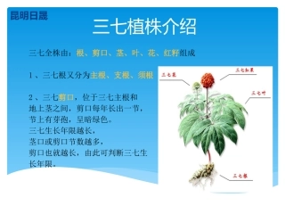 三七常见病害及综合防治