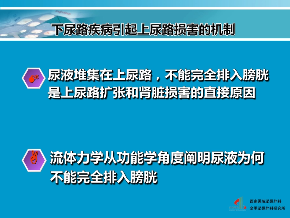 安全膀胱-2010尿控会_第3页