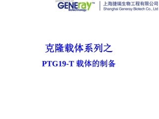 PTG19-T载体