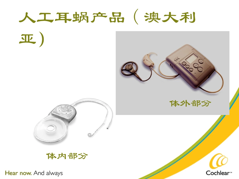 人工耳蜗工作原理_第3页