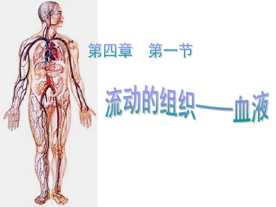 流动的组织—血液_第2页