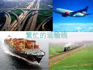 流动的组织—血液