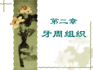 第二章 牙周组织