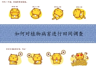 如何对植物病害进行田间调查