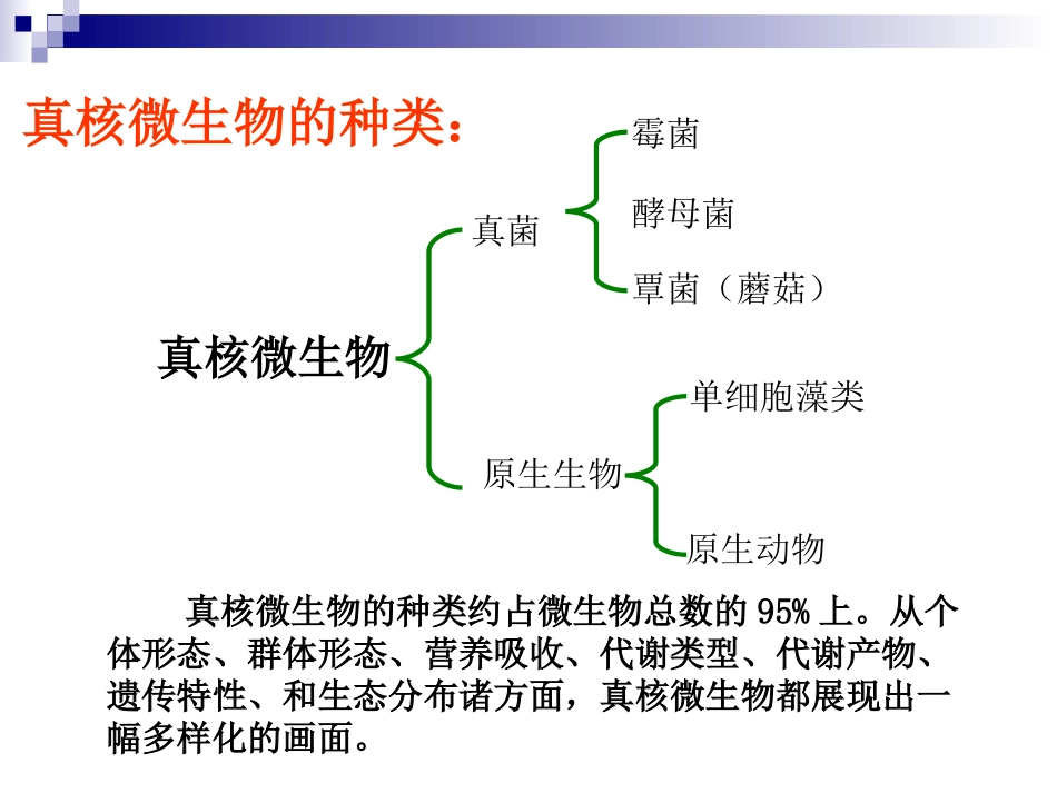 第三讲  真菌part1_第3页