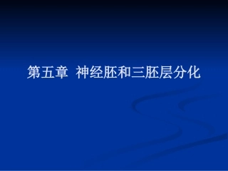 Ch05 神经胚与三胚层的早期分化