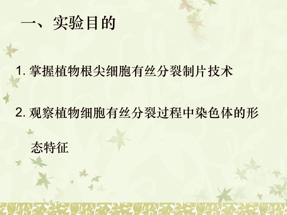 植物细胞有丝分裂的制片和观察_第2页