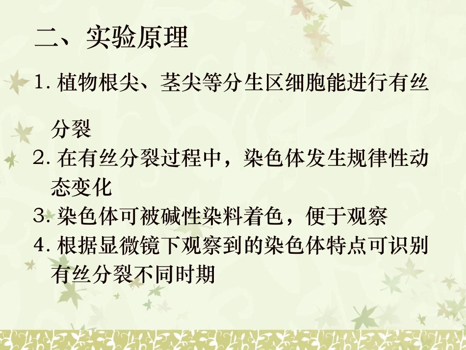 植物细胞有丝分裂的制片和观察_第3页