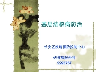 基层结核病防治