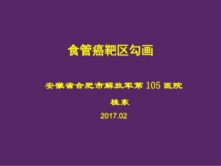 食管癌靶区勾画-桂东