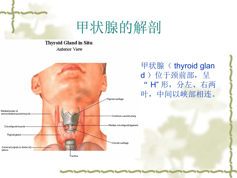 甲状腺疾病的影像学表现---副本_第2页