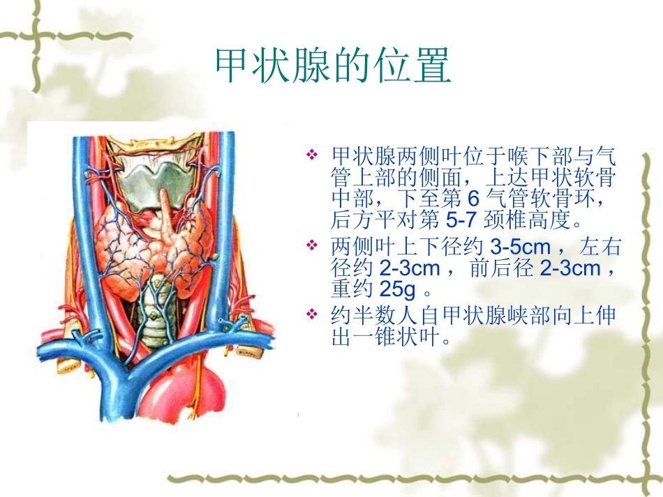 甲状腺疾病的影像学表现---副本_第3页