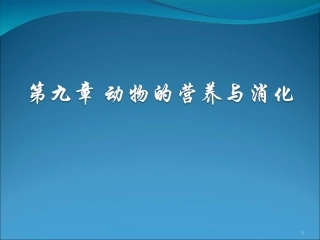 动物消化系统