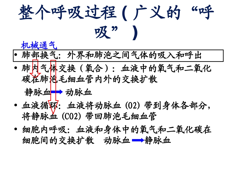 呼吸机的使用(基本)_第3页