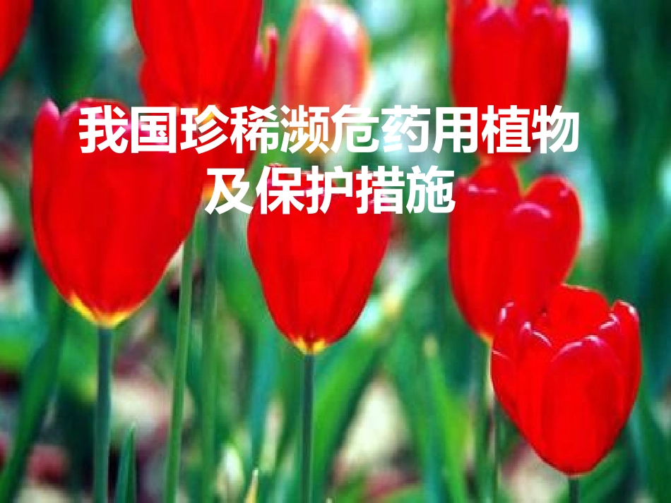 我国珍稀濒危药用植物_第1页