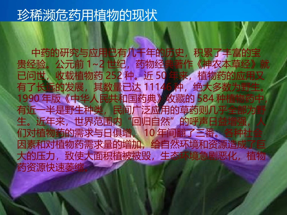 我国珍稀濒危药用植物_第3页