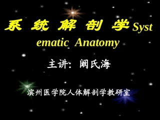 系解之绪论躯干骨