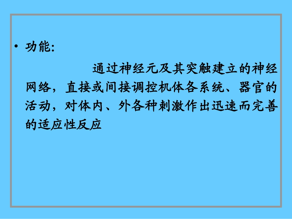 神经系统PPT_第3页