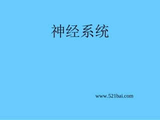 神经系统PPT