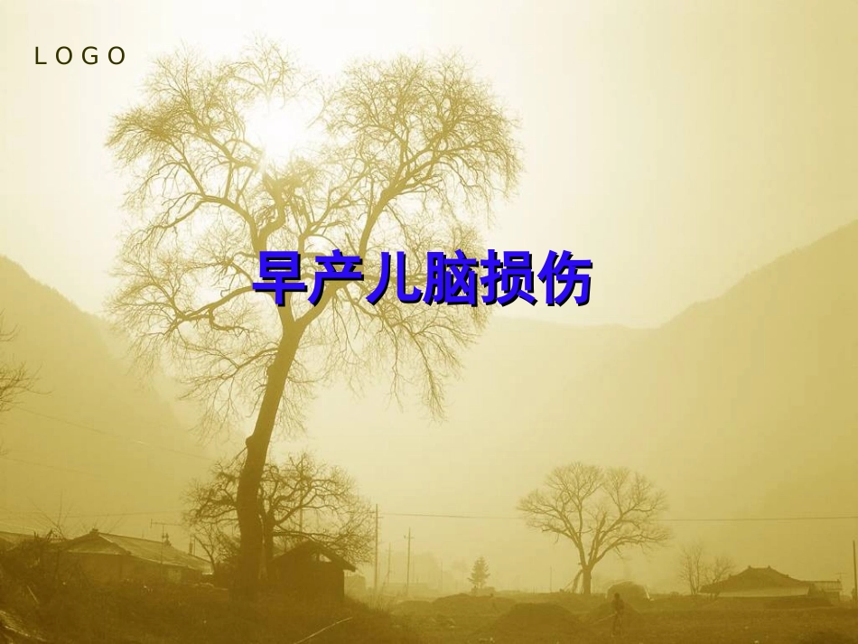 早产儿脑损伤2015年_第1页