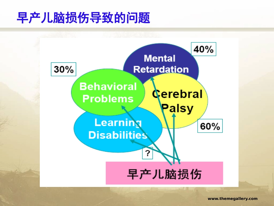 早产儿脑损伤2015年_第3页