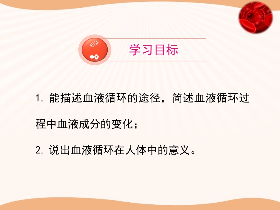 血液循环的途径_第3页