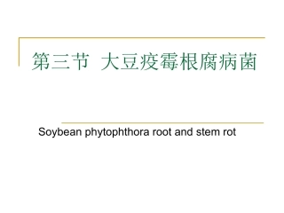 大豆疫霉根腐病菌