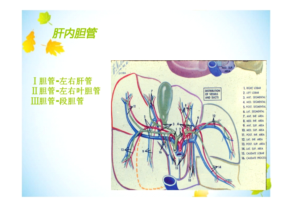 梗阻性黄疸的鉴别和诊断_第3页