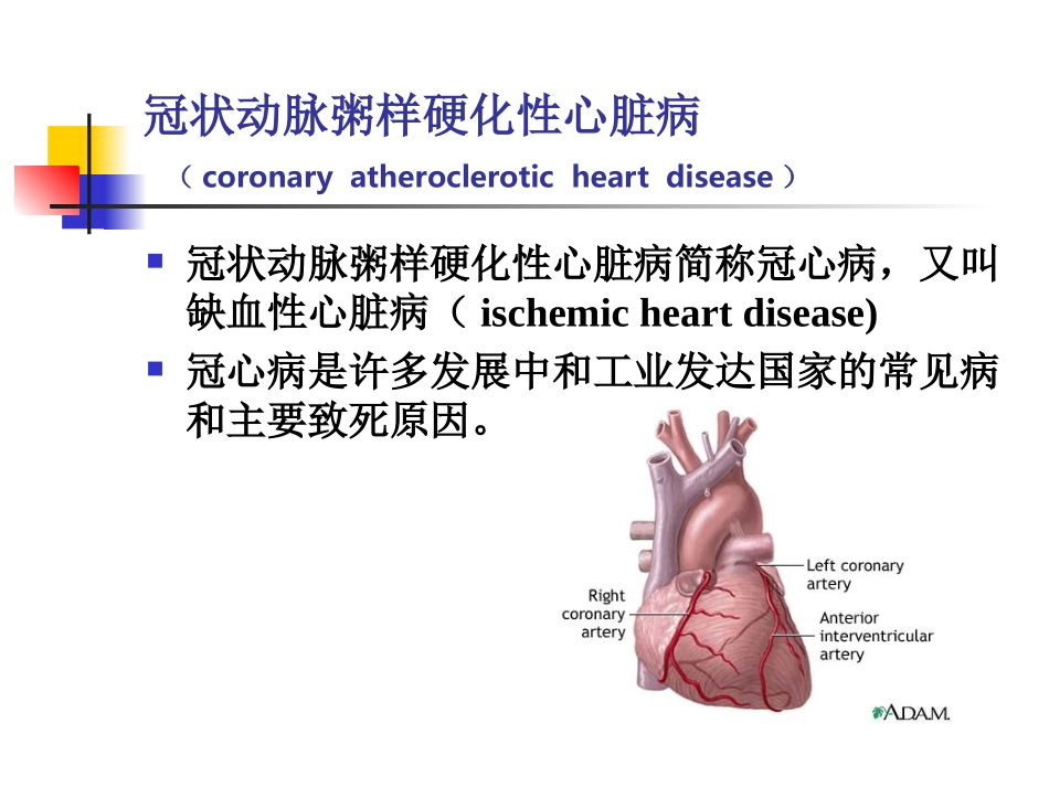 抗心绞痛药学_第2页