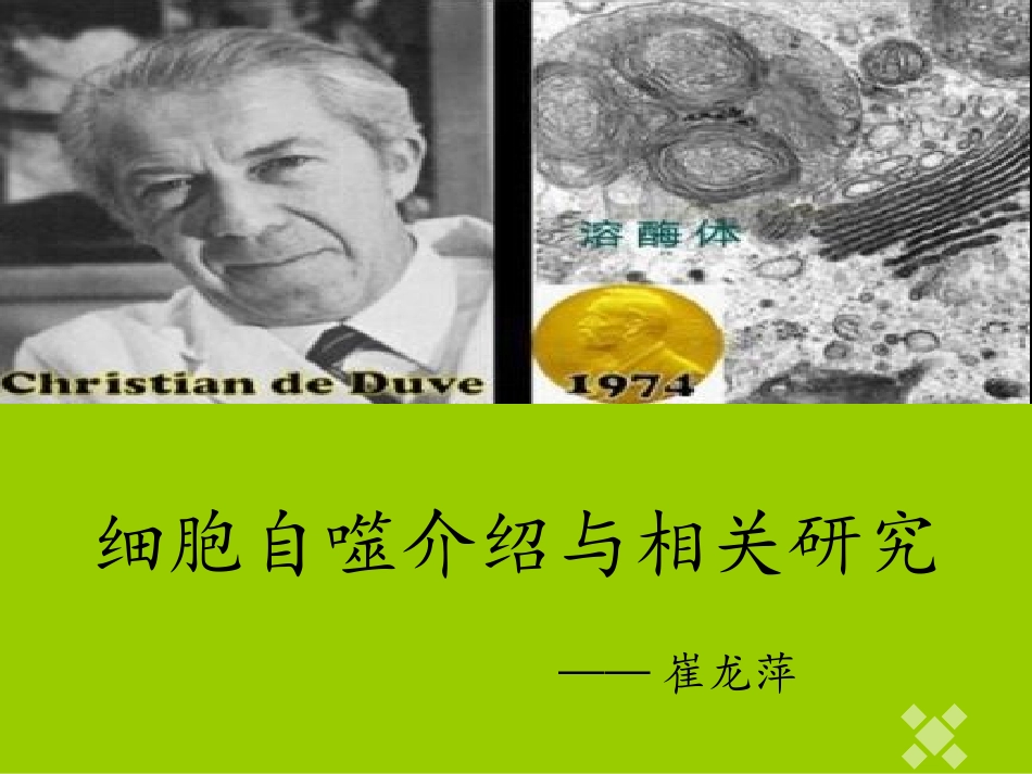 细胞自噬介绍与相关研究_第1页